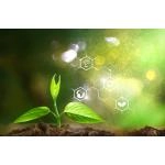 Генетика компактности — почему одни растения растут меньше других