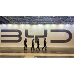 BYD: история ведущего производителя электромобилей в Китае