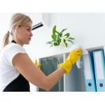 Більше ніж чистота: як створити здоровий мікроклімат у київській квартирі та чому це важливо