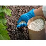 Як правильно обирати мінеральні добрива залежно від культури та типу грунту