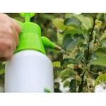 Засоби захисту рослин для городу: як підібрати рішення під різні задачі