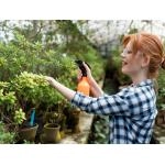 Чому помилки в обробках саду та городу коштують дорожче, ніж самі препарати