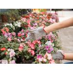 Комплексний догляд за садом: як підтримувати красу та здоров’я вашої ділянки