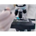 Сучасний мікроскоп: можливості, конструкція та застосування