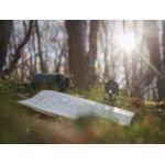 Тепловизор для охоты: зачем нужен, как выбрать и использовать