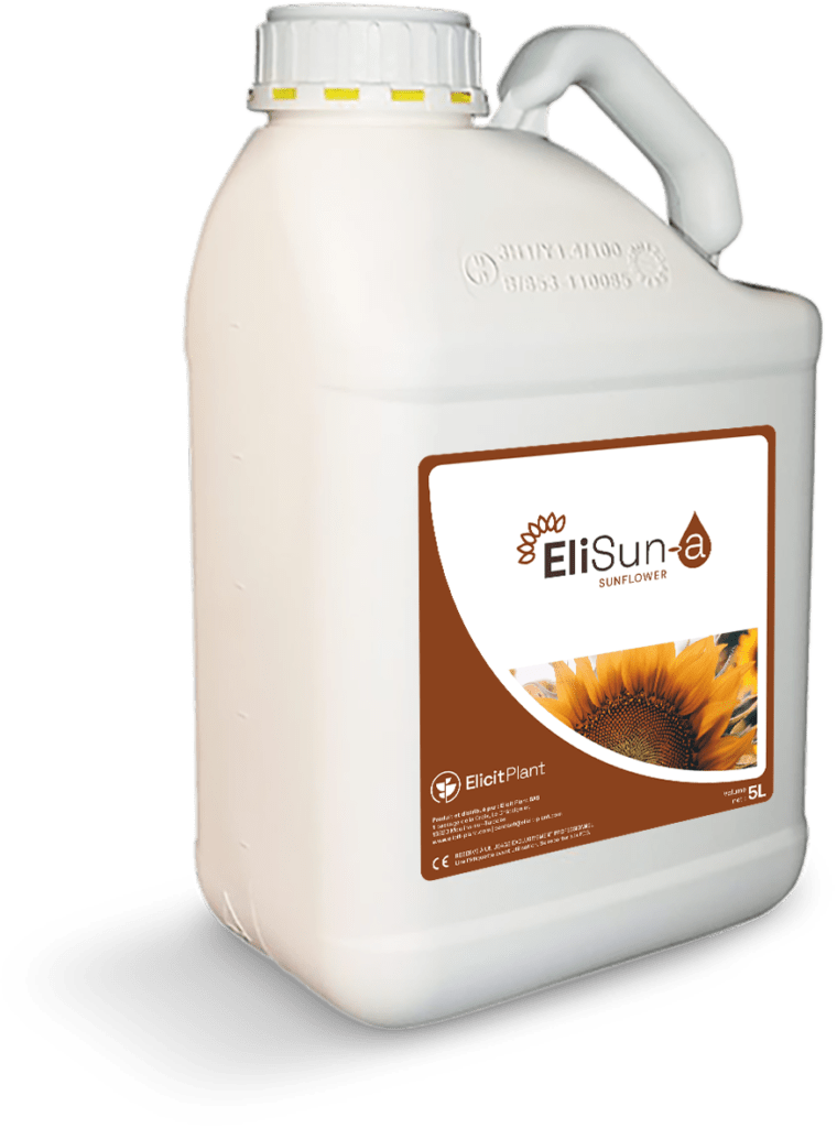 EliSun-a