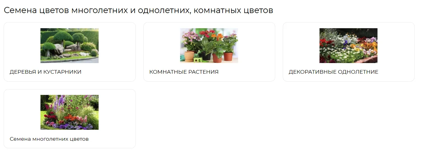 Семена овощей, грибов и цветов: где покупать в 2024?