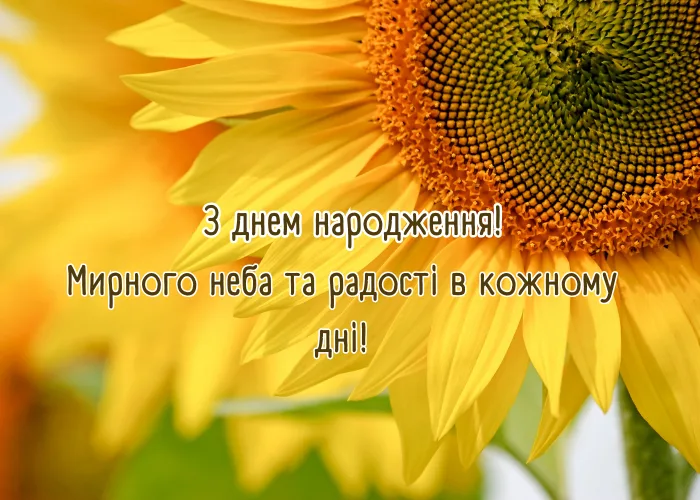 Як красиво і щиро привітати з днем народження своїми словами