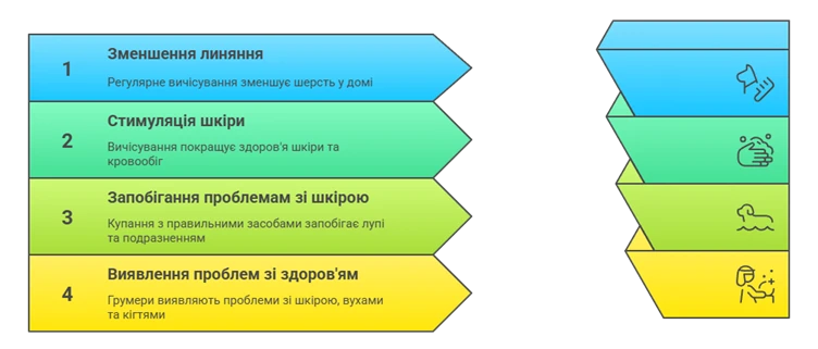 68ca7bf19f0c3.webp