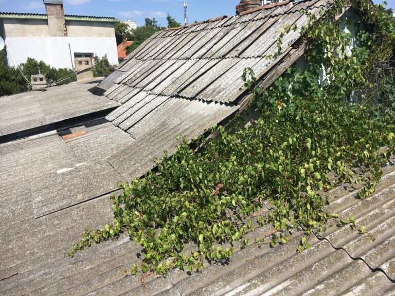 замена шифера на профнастил одесса