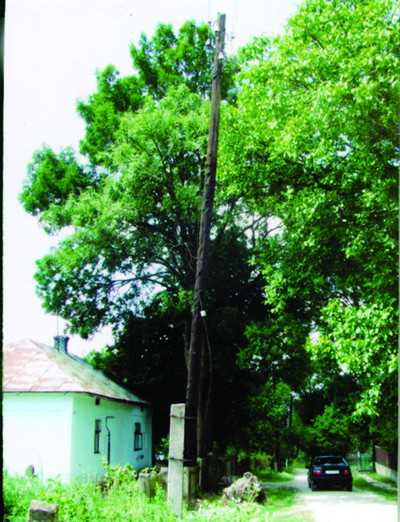 Image00014.jpg