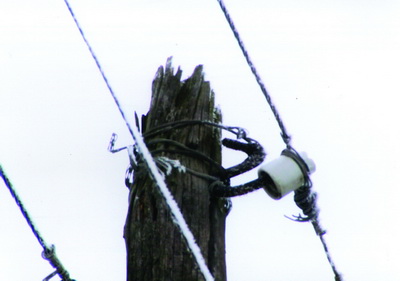 2008-202.jpg