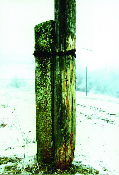 2008-203.jpg