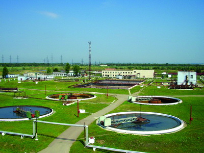 2008-139.jpg