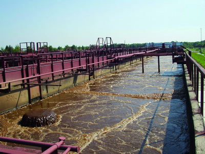 2008-140.jpg