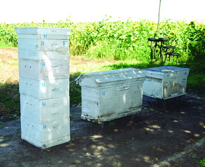 2008-149_3.jpg