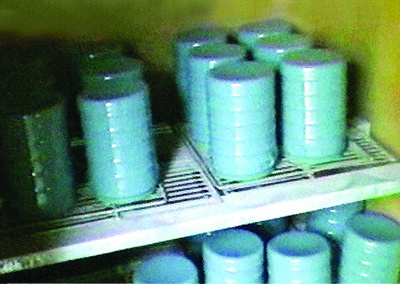 2008-166_5.jpg