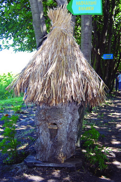 2008-244_1.jpg